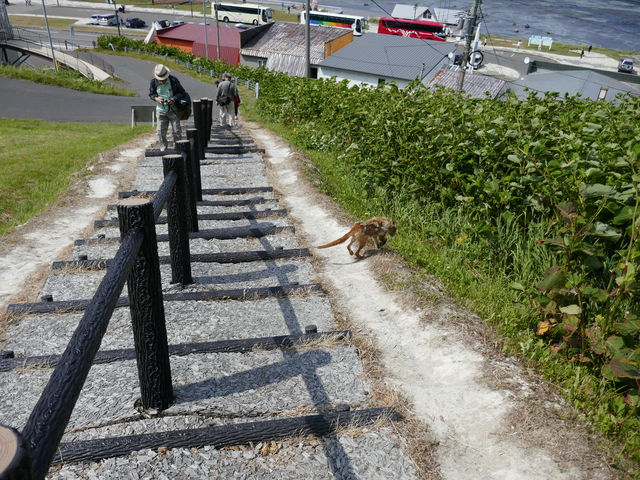 �L�^�L�c�l������܂���_�@�J������