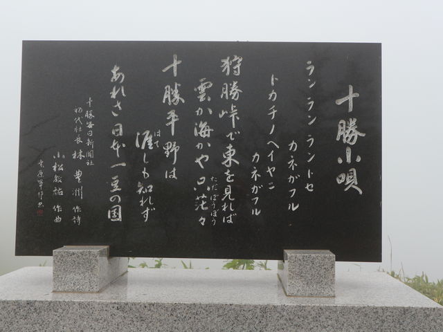 �\�����S�̔�_�돟���W�]��