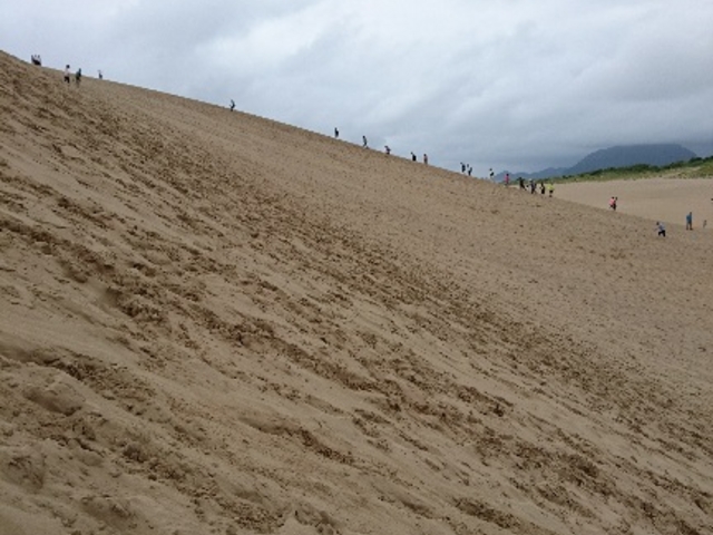 �����[_���捻�u