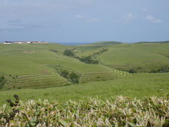 �g�����\����̏@�J�u�ˎ��X�͒n�`�ւ̓��e�ʐ^1