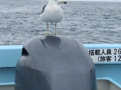 킩߂̏M̓AN[Yւ̓eʐ^3