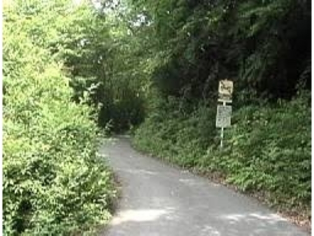 ���R�����ς�_�؃P�����C