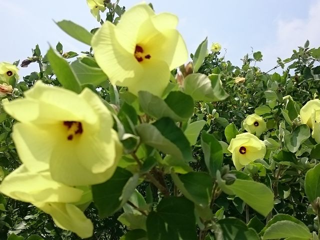 Xkṽn}{E̖쐶n̓eʐ^1