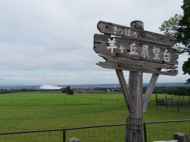 �D�y�h�[����������_�����ۂ�r���u�W�]��