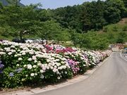 񂿂񂳂̂ƂƂAWTC̓eʐ^1