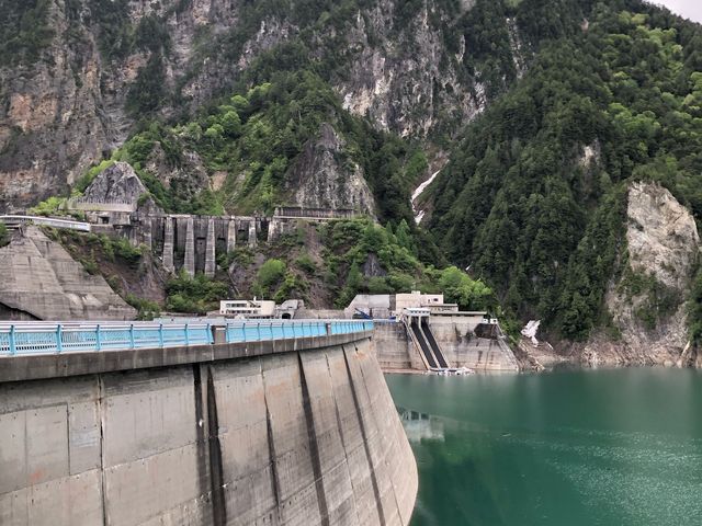 ������_������