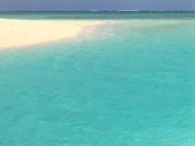 �n�e�̕l_�n�e�̕l