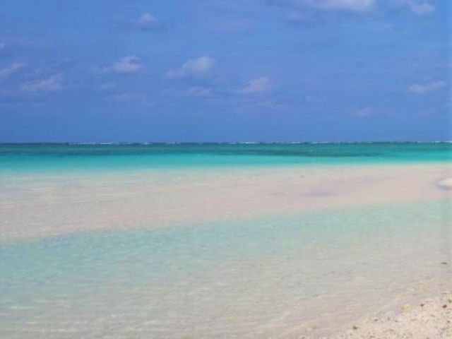 �n�e�̕l_�n�e�̕l