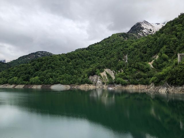 ������_������