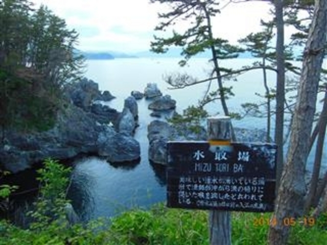 �u���������F�����v_��������