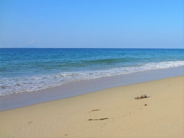 ���݂��߂̎Y���X�|�b�g�Ƃ��Ēm����i�c�l_�i�c�l