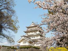 �݂����񂳂�̐�t��Ղւ̓��e�ʐ^1