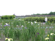 okeỉÔ߉iɍ{_ЊOj̓eʐ^3