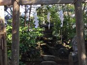 ���݂�L�b�`������̖��ꑽ�_�Ђ̓��e�ʐ^7