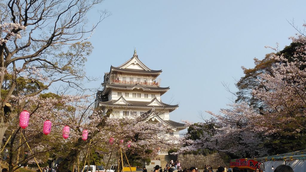 いのはな公園の桜 アクセス 営業時間 料金情報 じゃらんnet