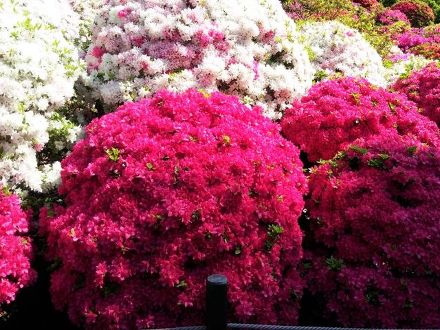 ���܂�_���Ð_��