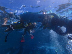 DԂNature Guide Double Rainbow lC`[KCh@_uC{[ւ̓eʐ^1