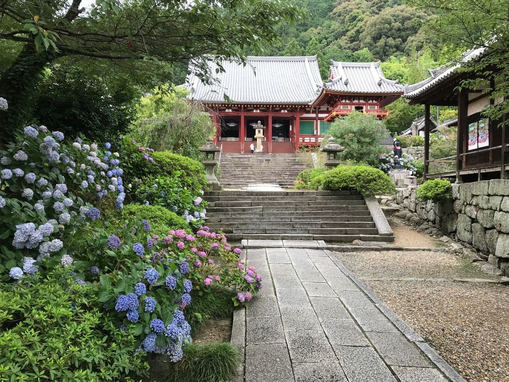 京都 奈良の あじさい寺 おすすめ5選 花の名所で初夏の絶景を じゃらんニュース