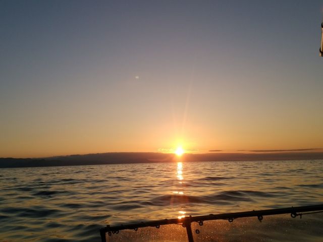 �L���C�ȗ[�Ă��@�������ނƂ�����Ɗ���_�̓��A���M�N���[�W���O�v�����}����