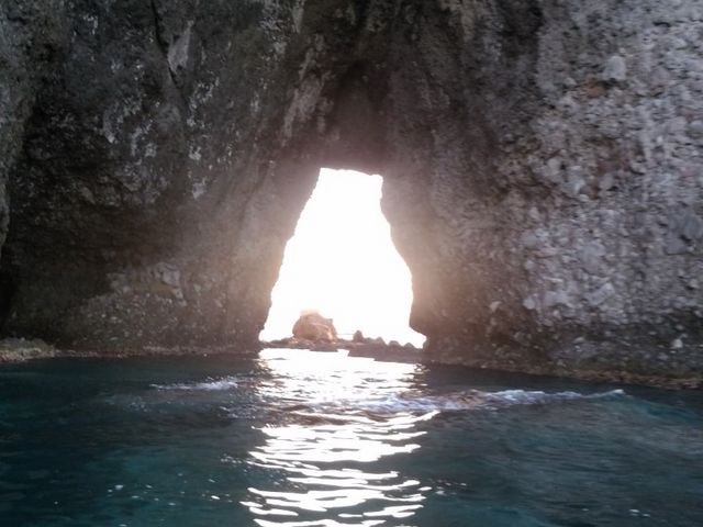 ���̊�ɂ̓E�j���������Ă���_�̓��A���M�N���[�W���O�v�����}����