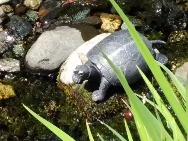 �x�m��΃n�i�e���X