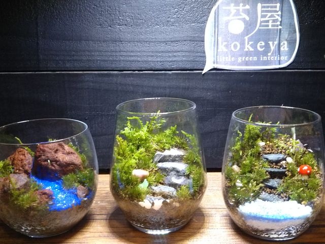 eqőۃeE_ȗ΂̃CeA@ۉ