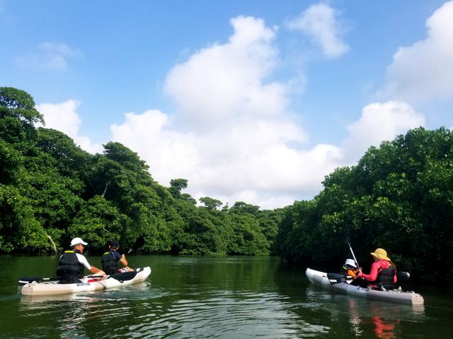 大自然に囲まれたツアーで癒されました。_OHCUS石垣島