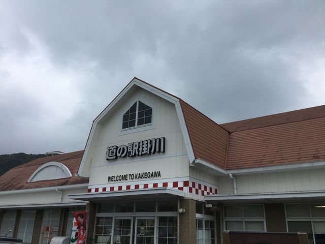 ̊Oς͂łBԏLԂƂĂ~߂₷łB_̉w |