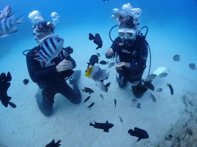 ���̉a���̌��������Ē����āA����ȋ߂��ŋ��������̂͏��߂Ăł����I�I�������������܂����I_EGG�_�C�r���O�V���b�v