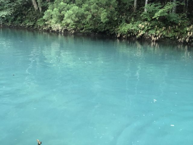 �l���΃u���[_�����h���b�v�@�A�E�g�h�A�K�C�h�T�[�r�X