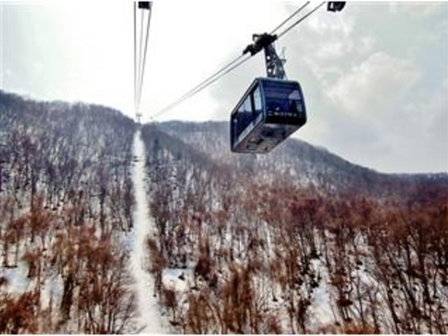 �u����R���[�v�E�F�C�v(�R�[�w�`�����w����66��)_������R���[�v�E�F�C