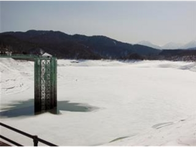 �_���Έ�ʂ���ɖ������u���_���v_���_��