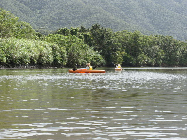 w̎qǂЂƂőł܂_}O[u