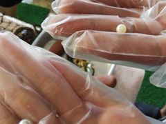 `R̐^H[@^̗ւ̓eʐ^1