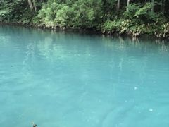 ۂ񂱂̃hbv@AEghAKChT[rXւ̓eʐ^1