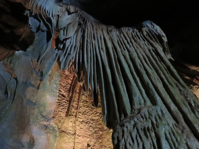 �i�F_���͓�