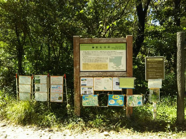 ���ю�������_��莩�R����