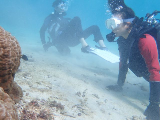 �M�ы��Ƃ��Ζ�_�C��كV�[�u���[��