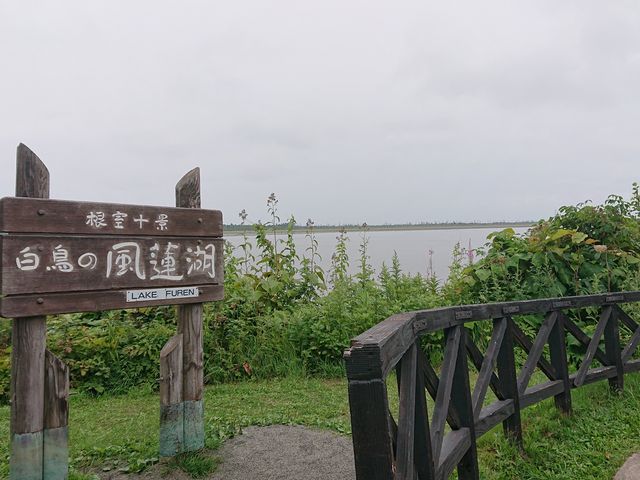 ���@��_���@��