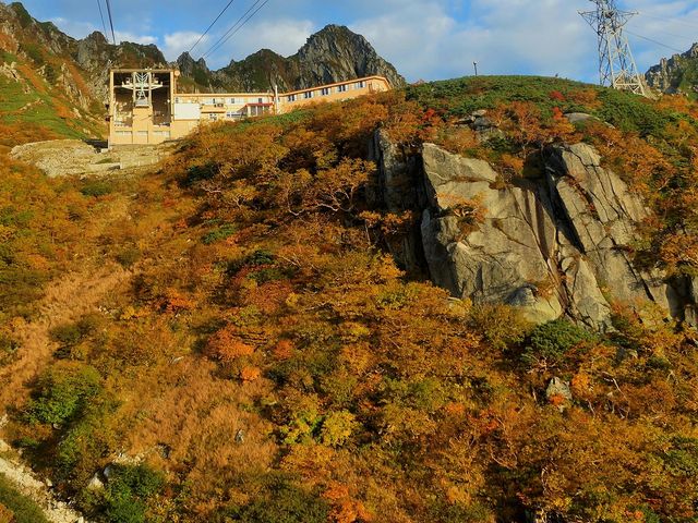 x[vEGCԂ̍gt_x[vEGCԂ̍gt