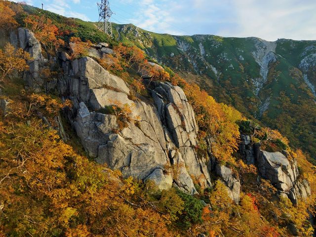 x[vEGCԂ̍gt_x[vEGCԂ̍gt