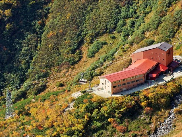 x[vEGCԂ̍gt_x[vEGCԂ̍gt