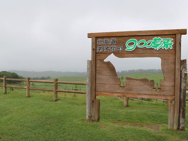 9〇〇草原_9〇〇草原展望台