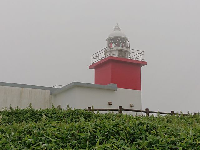 �ԍ瓔��_�����Ԑ�