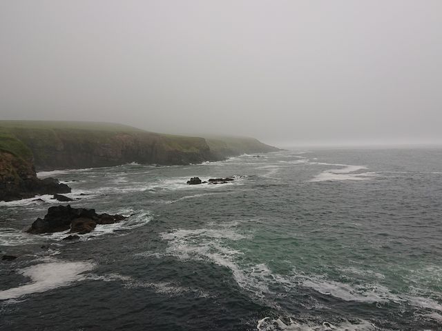 ���䂩��̌i�F_�����Ԑ�