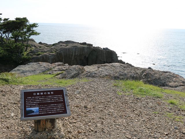 �����_�����