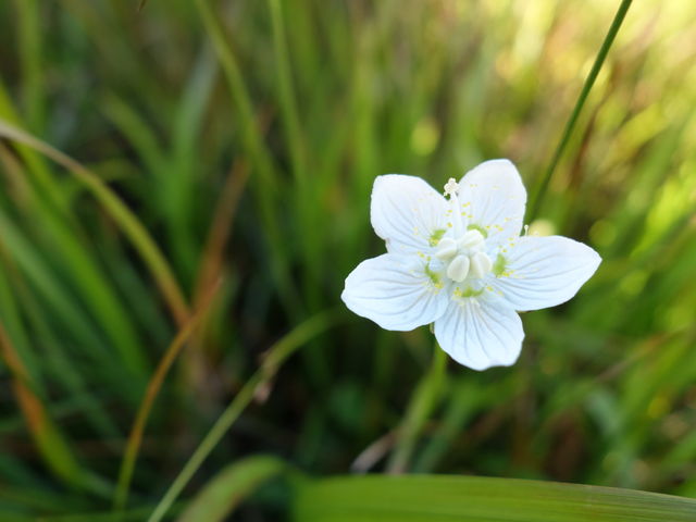 �E���o�`�\�E_�����P��