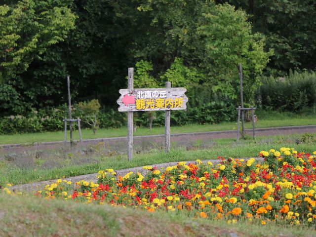 �k���̋u�W�]����_�k���̋u�W�]����