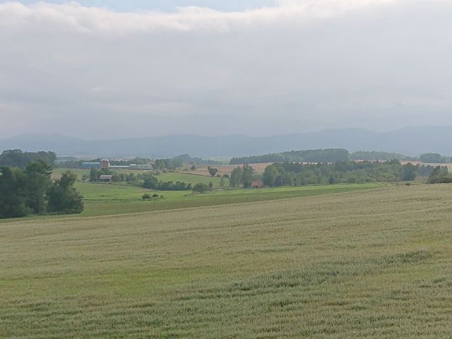 �i�F���ǂ�����_�k���̋u�W�]����