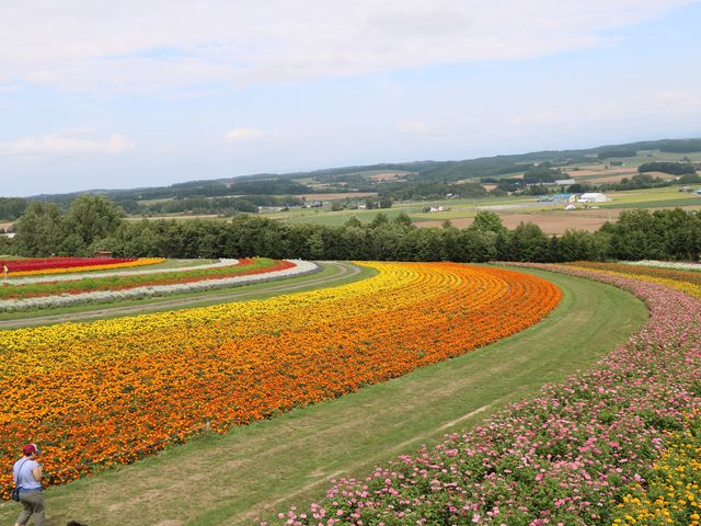 �Y��ȉԔ�_�t�����[�����h���݂ӂ��